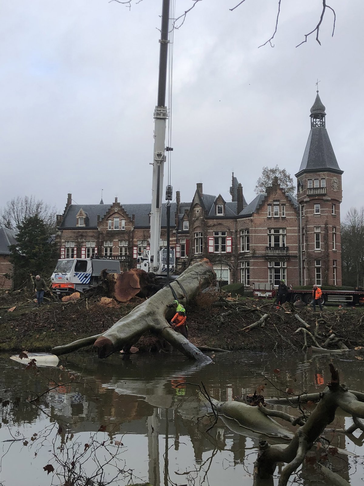 Drei Platane von Kasteel Calesberg