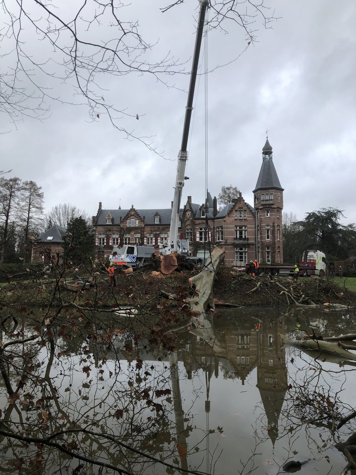Drei Platane von Kasteel Calesberg