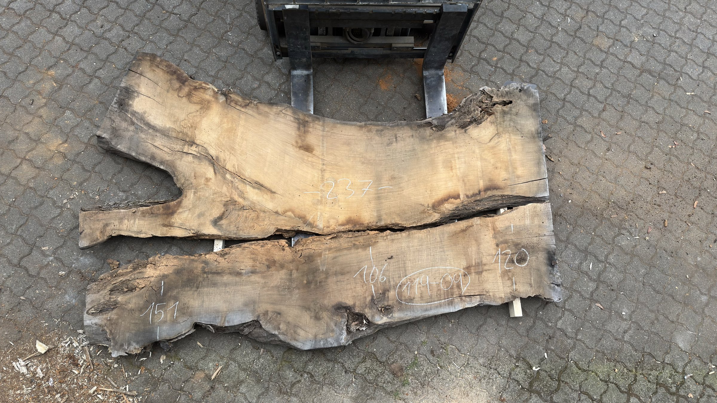 Die Rohbohle