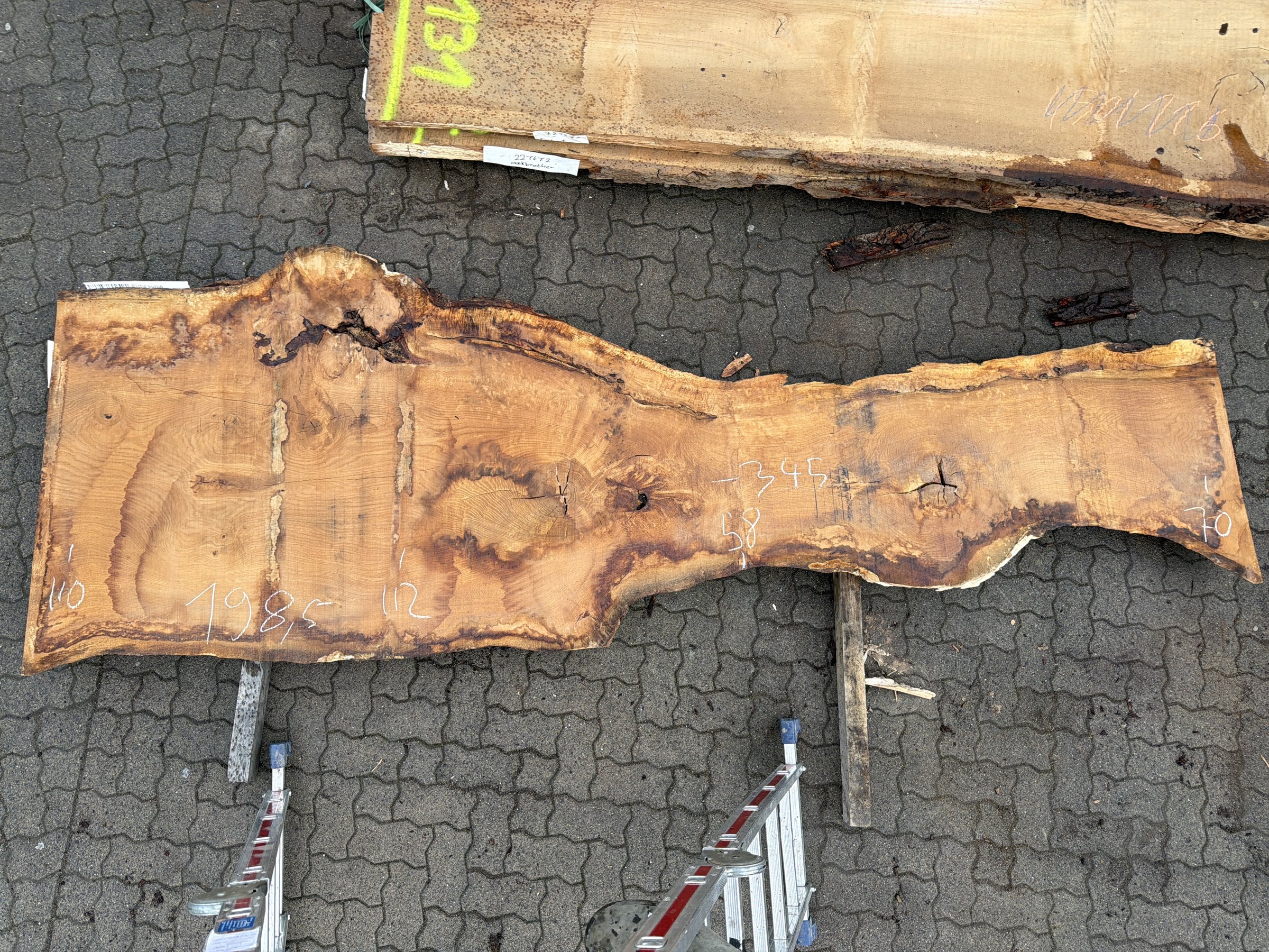 Die Rohbohle