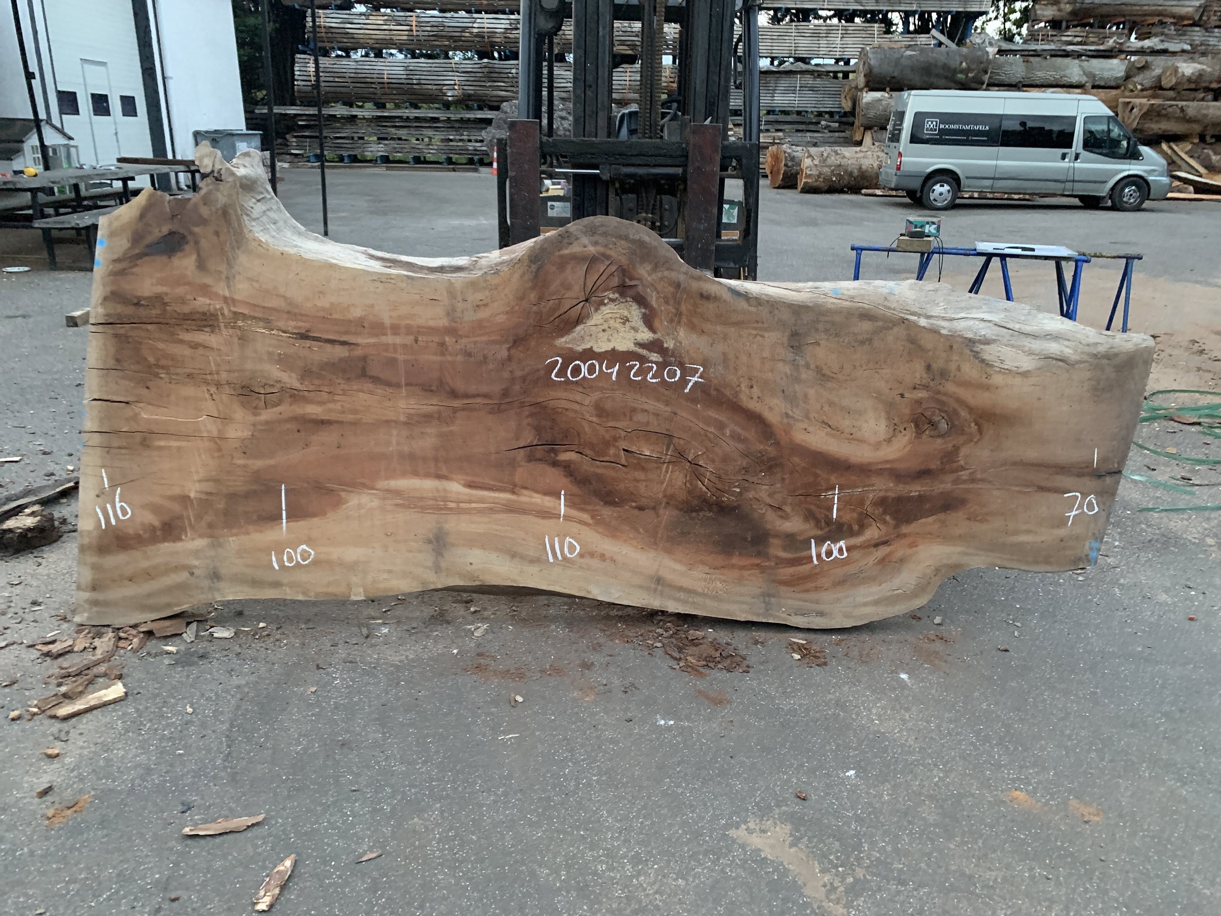 Die Rohbohle